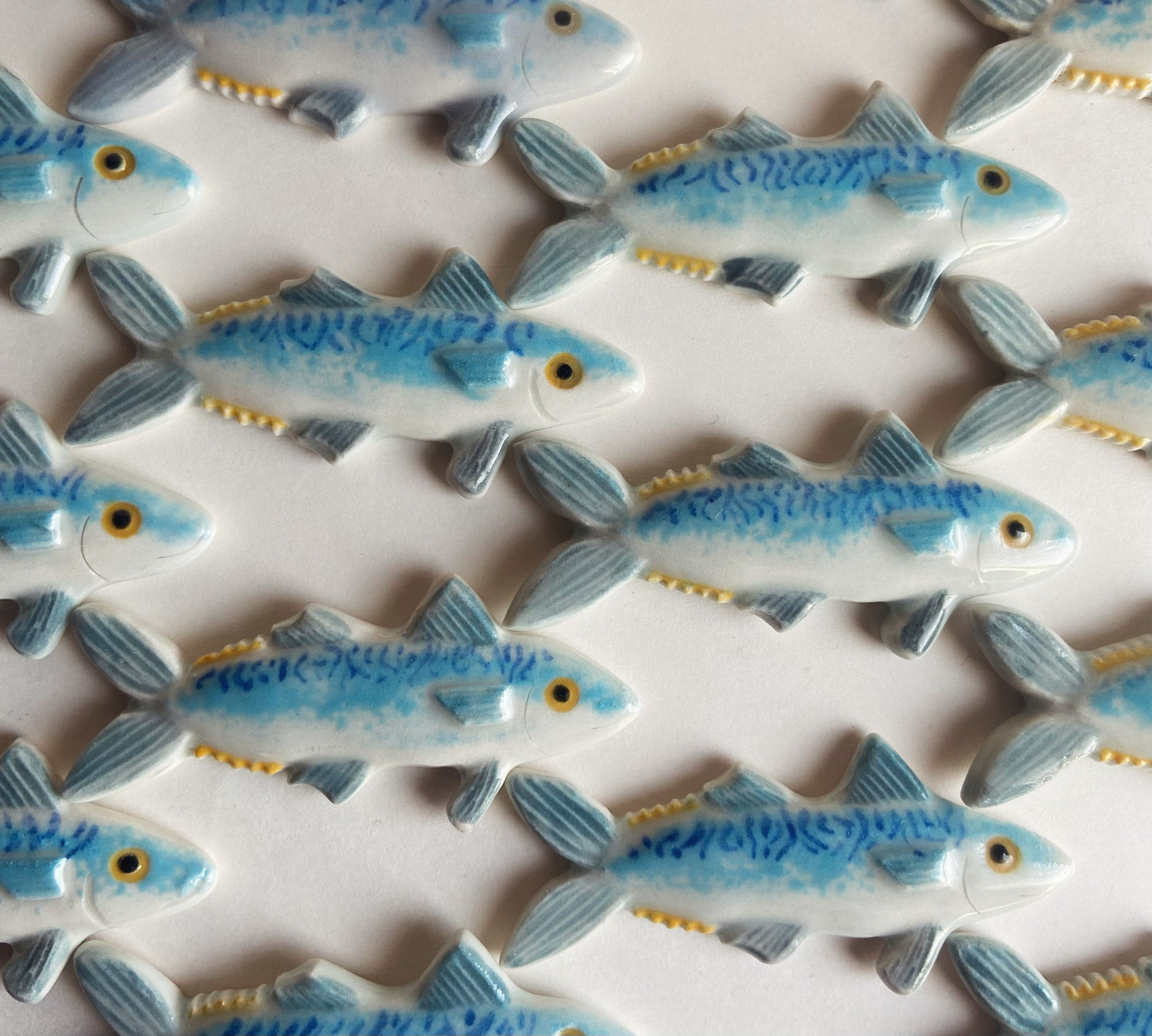 Mackerel magnet